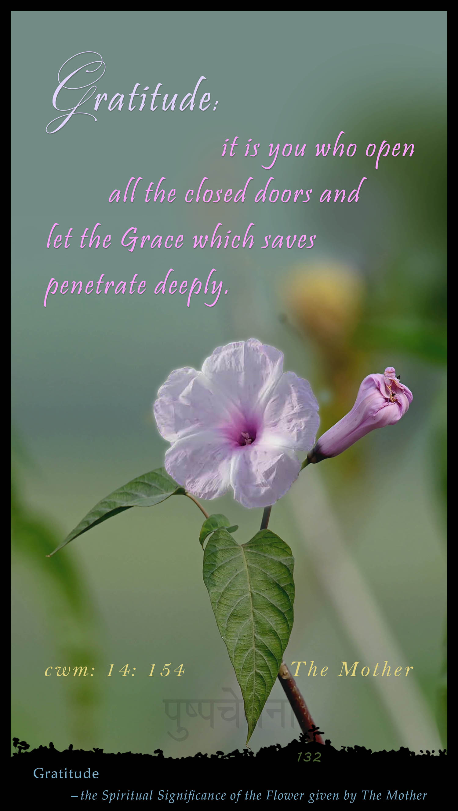 Gratitude